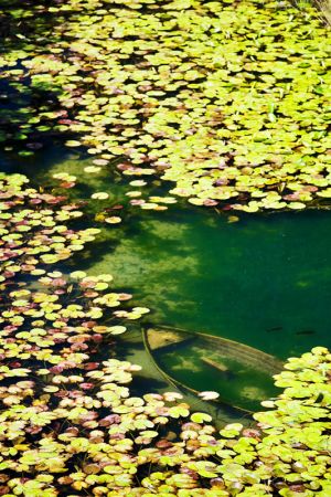 LONDON LANDSCAPE PHOTOGRAPHER_EUROPE_008.jpg